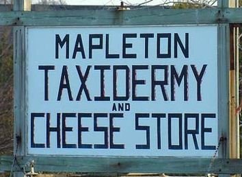 Taxidermy Cheese Store