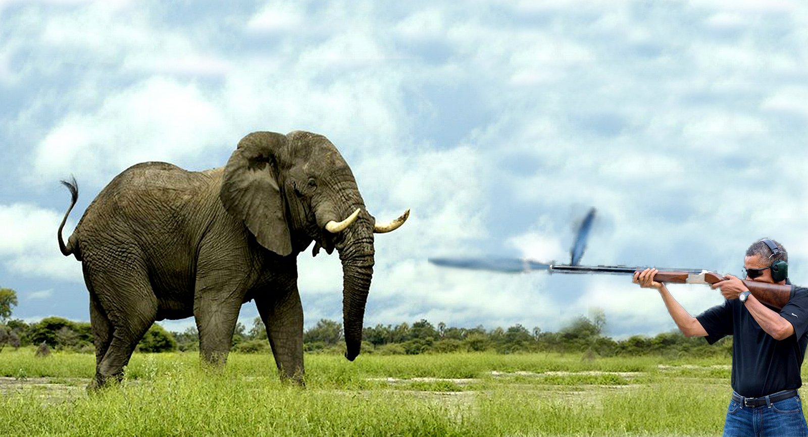President Barack Obama fires at an elephant on the Camp David reserve.